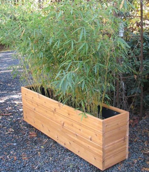 wooden planter boxes for bamboo